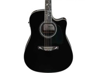 Ibanez AW391RCE-BKH Ibanez AW391RCE-BKH